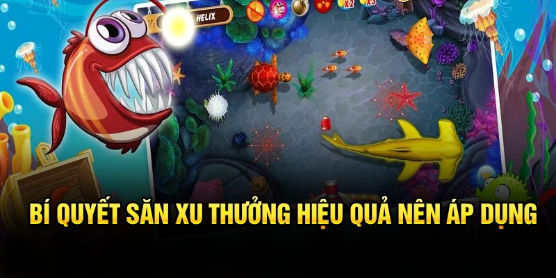 Bí quyết săn xu thưởng hiệu quả nên áp dụng