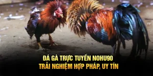 Đá Gà Trực Tuyến Nohu90 – Trải Nghiệm Hợp Pháp, Uy Tín