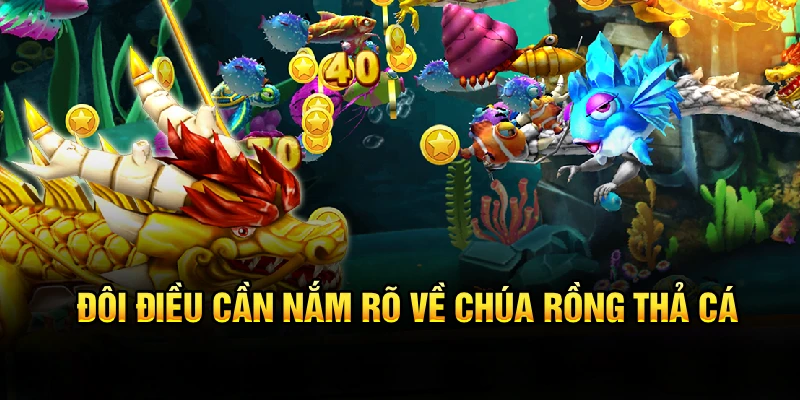 Đôi điều cần nắm rõ về chúa rồng thả cá