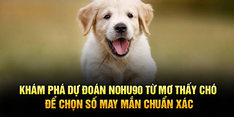 Khám phá dự đoán Nohu90 từ mơ thấy chó để chọn số may mắn chuẩn xác
