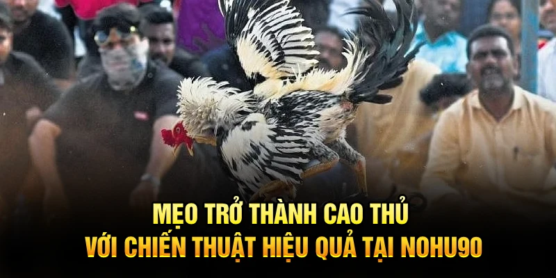 Mẹo trở thành cao thủ với chiến thuật hiệu quả tại Nohu90