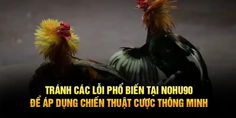 Tránh các lỗi phổ biến tại Nohu90 để áp dụng chiến thuật cược thông minh 