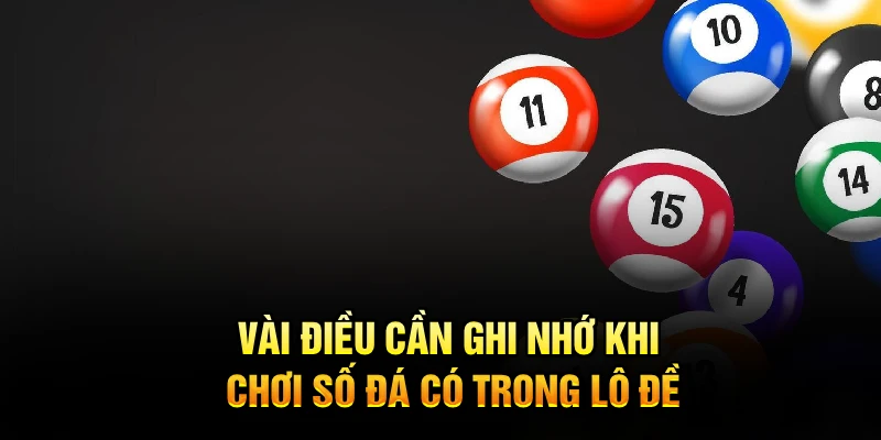Vài điều cần ghi nhớ khi chơi số đá có trong lô đề