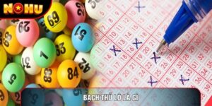 Bạch Thủ Lô Là Gì? Những Phương Pháp Soi Cầu Hiệu Quả Nhất